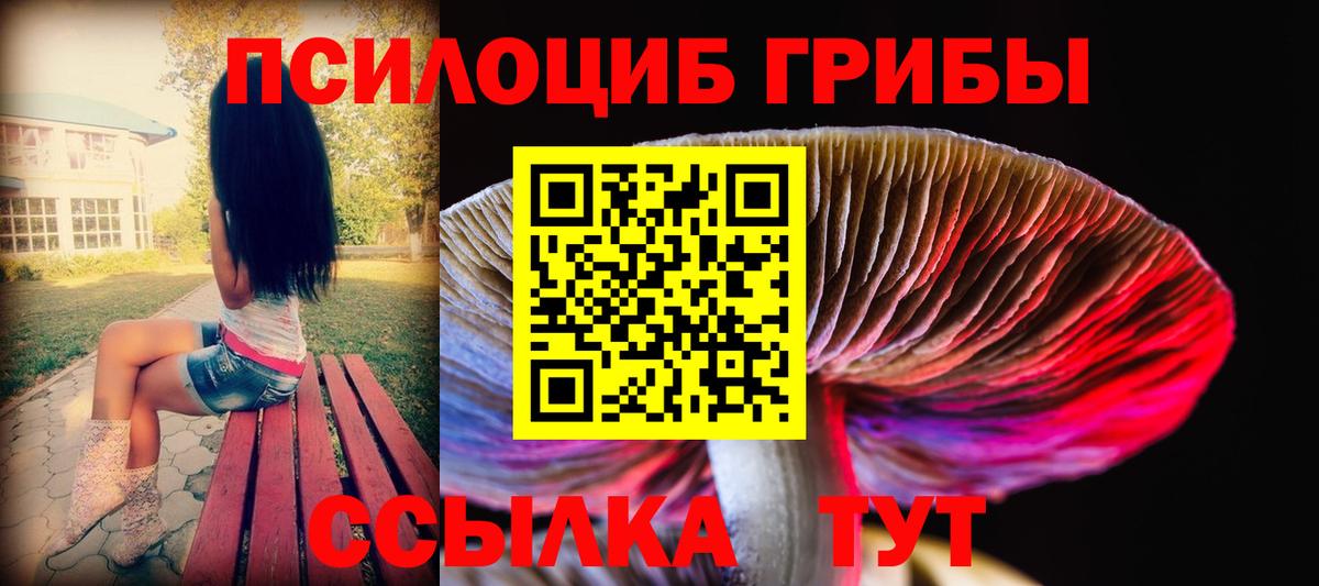 Псилоцибиновые грибы прущие грибы  Псилоцибиновые грибы GOLDEN TEACHER  Вход с VPN  Тольятти 